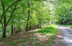 Lakeside Drive lot: 255/256, West Jefferson, NC 28694