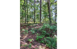 52 Montanoso Way, Hot Springs Village, AR 71909