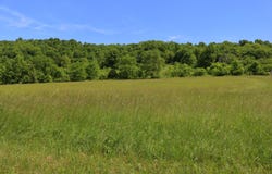 25.78 acres McDonald Ferry Road, Frankfort, KY 40601