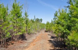 001 Green Hill Road, Franklinton, NC 27525