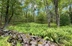 Town Park Rd, Monticello, NY 12701