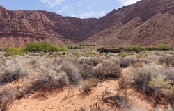 367 W Shinob Kai Way, Ivins, UT 84738