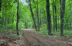 25 A On BEARSKULL RD, Park Falls, WI 54552