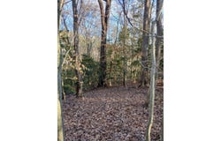 0 Bull Neck Rd, Caret, VA 22436