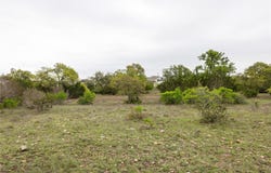 Tbd Logan's WAY, Blanco, TX 78606