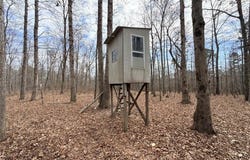72 off OCR 159, Fremont, MO 63941