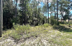 0000 SW 68 LOOP LOOP, DUNNELLON, FL 34432