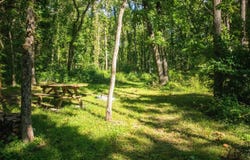 667 Pierce Road, Plainwell, MI 49080