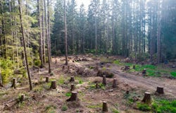 800 Gale Way, Crescent City, CA 95531