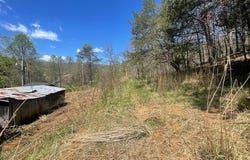 151 Conway Lane, Gray, KY 40734