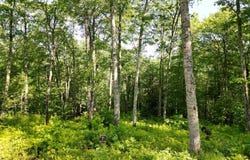 C7 Snowcrest Drive, Glenville, NC 28736