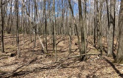 6863 E Spring Ln, Egg Harbor, WI 54209