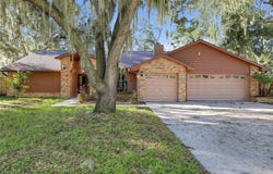 1005 HOLLYBERRY Court, BRANDON, FL 33511
