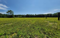 311 HATCHETT ROAD, CENTREVILLE, MD 21617