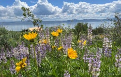 12 ASPEN Pl, Fish Haven, ID 83287
