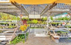 88 CA-4, Murphys, CA 95247