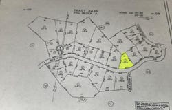 0 Corner Mustang & Buckskin, Tehachapi, CA 93561
