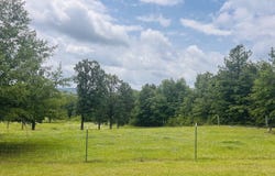 0 Draper Road, Talladega, AL 35160