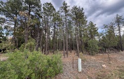 Tbd White Mtn Blvd 212-09-108Q, Lakeside, AZ 85929