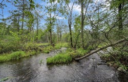 119 Tanglewood Drive, Pocono Pines, PA 18350