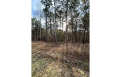 44 Trade Mill Court, Winnsboro, SC 29180