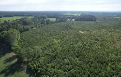 20Ac-TBD Highway 260, Manning, SC 29102