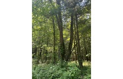 Vl Blair Street, West Olive, MI 49460