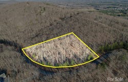 485 Pinnacle Trail unit: 58, Denton, NC 27239