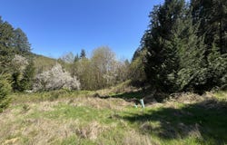 NS, Forest Grove, OR 97116