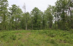 V/L N Sturgeon Road, Midland, MI 48642