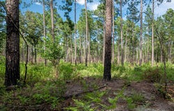 221 ac Crestview Road, Arlington, GA 39813