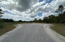 Tbd MALAUKA LANE, OCKLAWAHA, FL 32179