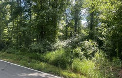 0 Southern Shores, Jackson, GA 30233