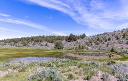 TL 1100 Hines Logging Rd, Hines, OR 97738