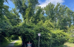 606 S James Street, Ashland, VA 23005