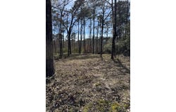 477 PR 7830, Broaddus, TX 75929