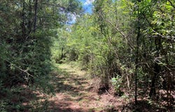 Hwy 48 lot: 1, Sandy Hook, MS 39667
