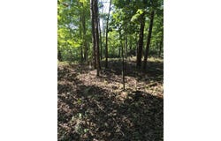 Ridge Wood Ln lot: 436, Spencer, TN 38585