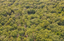 81ac Tbd Stone Piler Avenue, Edwards, MO 65326