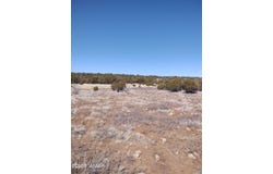 Tbd Show Low Pines, Concho, AZ 85924