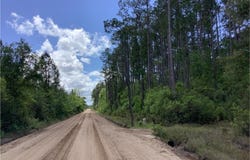 0 Inchachee Road, White Oak, GA 31568