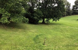 00 East Andrew Johnson Highway, Greeneville, TN 37745