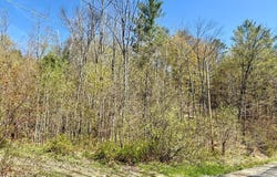 299 & 331 Page Street, Lake Pleasant, NY 12108