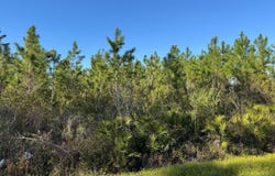00 SW 59TH DRIVE, Jasper, FL 32052