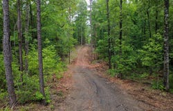 364 Pitts Drive, Fortson, GA 31808