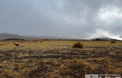 4850 US-50, Silver Springs, NV 89429