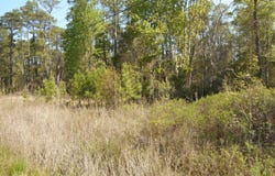 Highway 70, Newport, NC 28570
