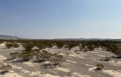 TR: C80 Rainbow Hawk Rd, Terlingua, TX 79852