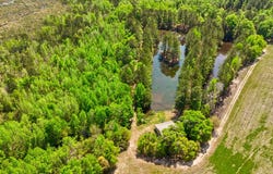 Tbd Alligator Road, Olar, SC 29843