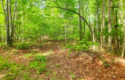 02 Little White Oak Rd., Duff, TN 37729